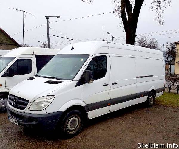 Paveiksliukas 