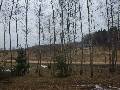 Parduodamas 22 ar�, nam� valdos,  �em�s sklypas Bajor� k. skelbimo nuotrauka