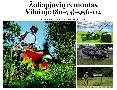 zoliapjoviu remontas Vilniuje 867595602 skelbimai